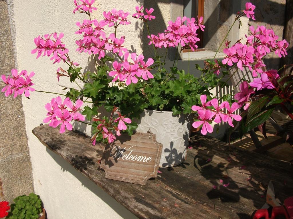 Saint-Pardoux-lʼOrtigier 38 Friaudour Bed & Breakfast エクステリア 写真