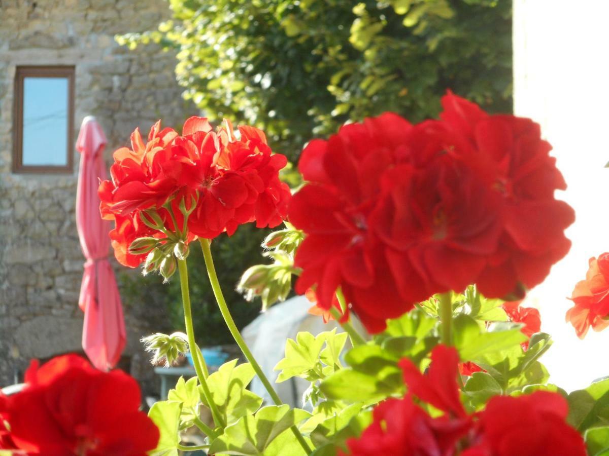 Saint-Pardoux-lʼOrtigier 38 Friaudour Bed & Breakfast エクステリア 写真